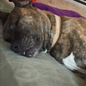 Meet your Posher, Aline